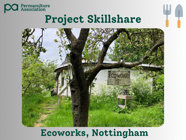 Ecoworks skillshare