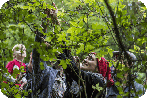 Find a course - image shows people foraging in Epping Forest