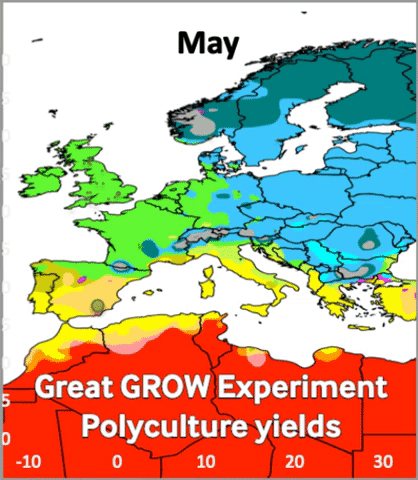 Gif of polyculture yield by month