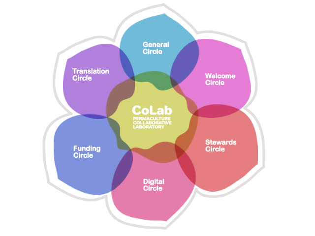 Image of CoLab flower