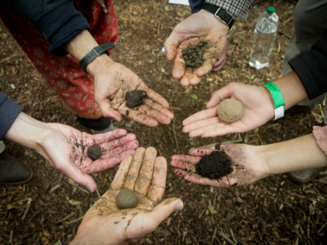 Hands holding soil