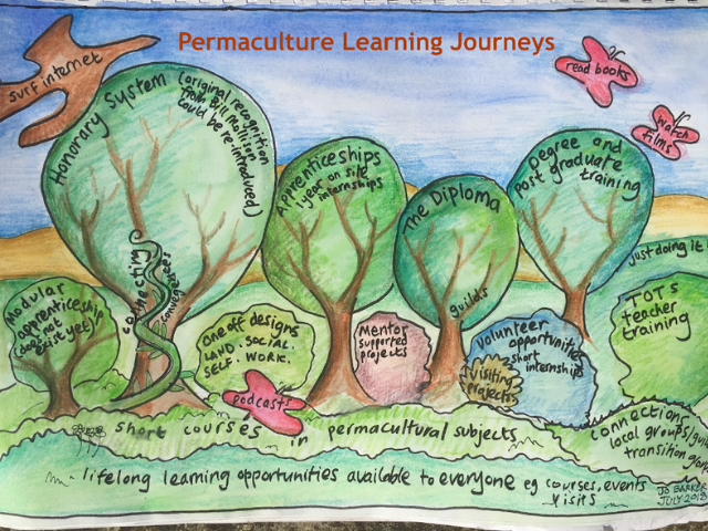 image of diploma learning journey