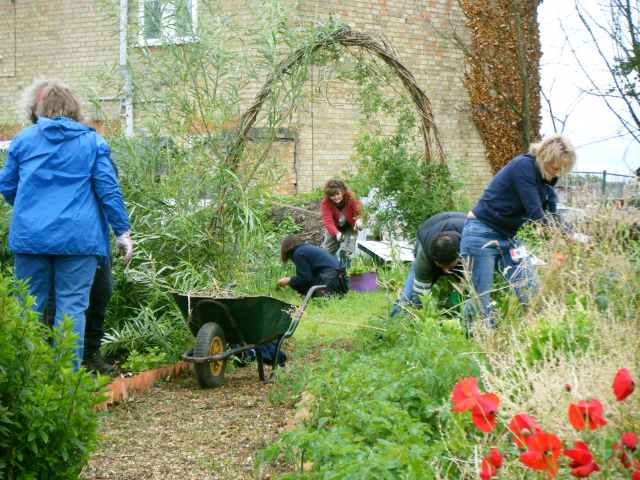 people working together in a garden