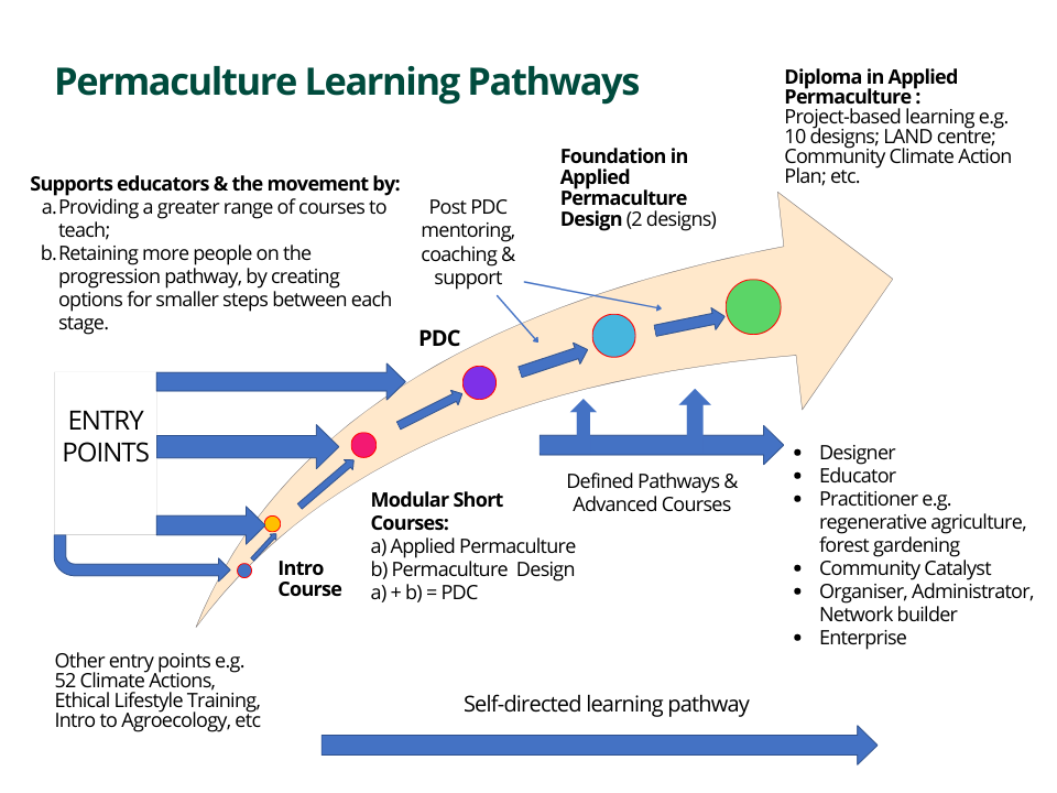 learning pathways diagram