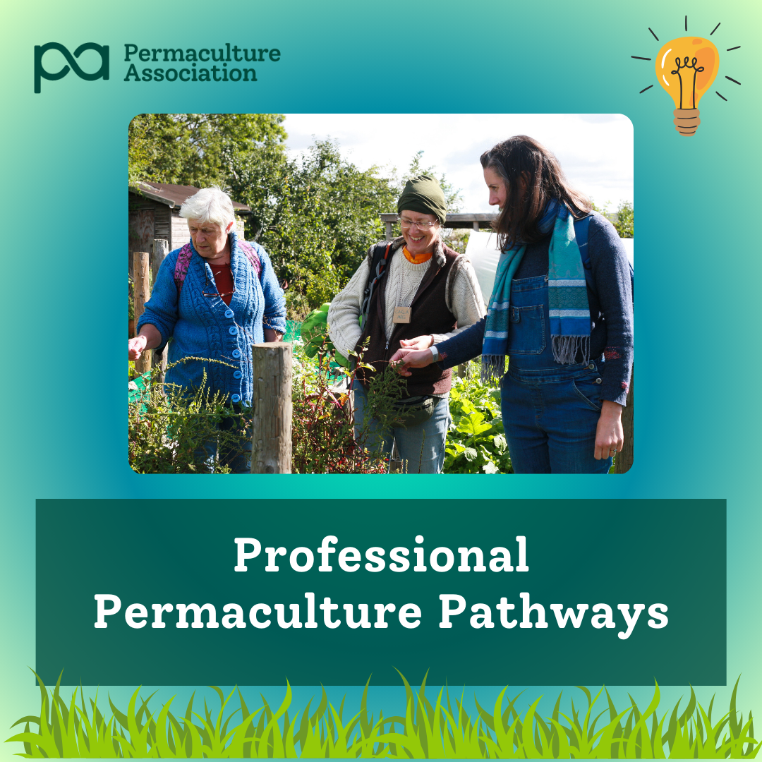 Professional Permaculture Pathways