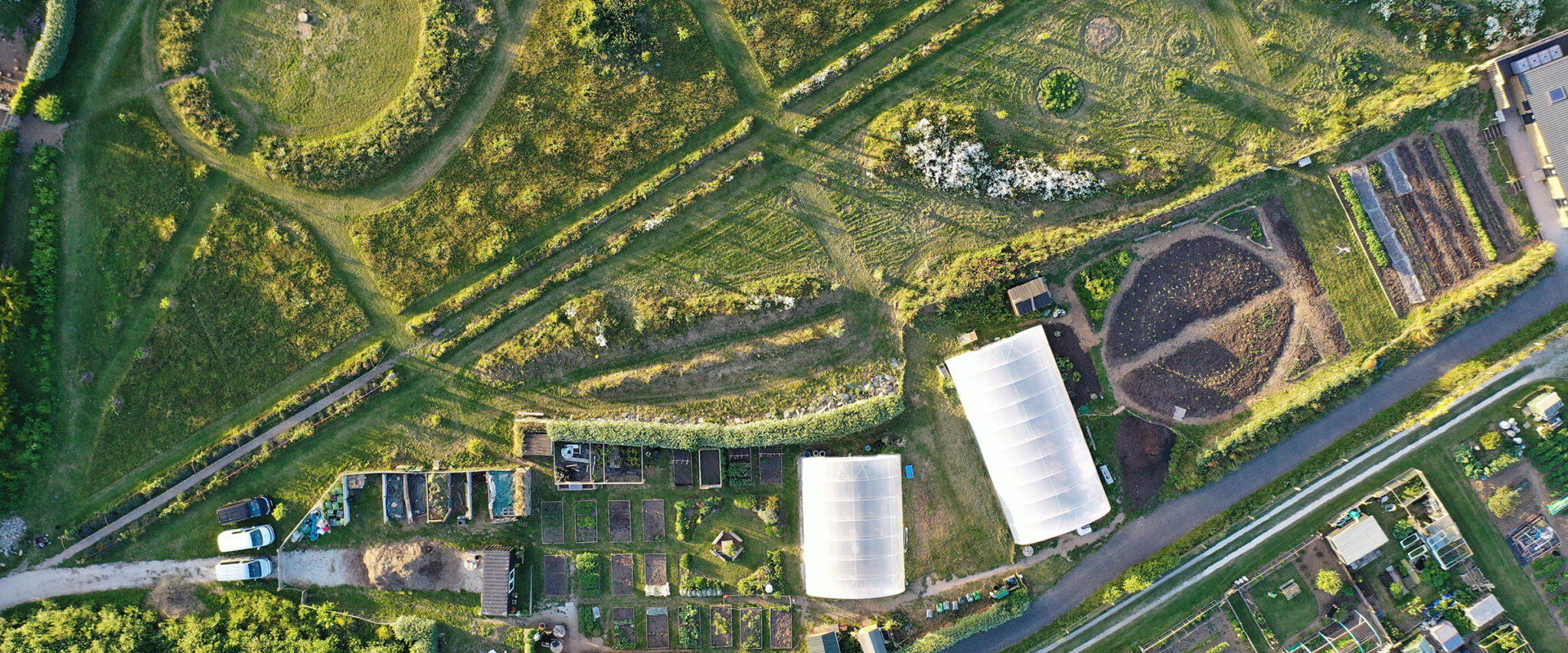 aerial view of newquay orchard
