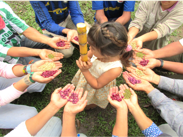 Bioagricultura Colombia