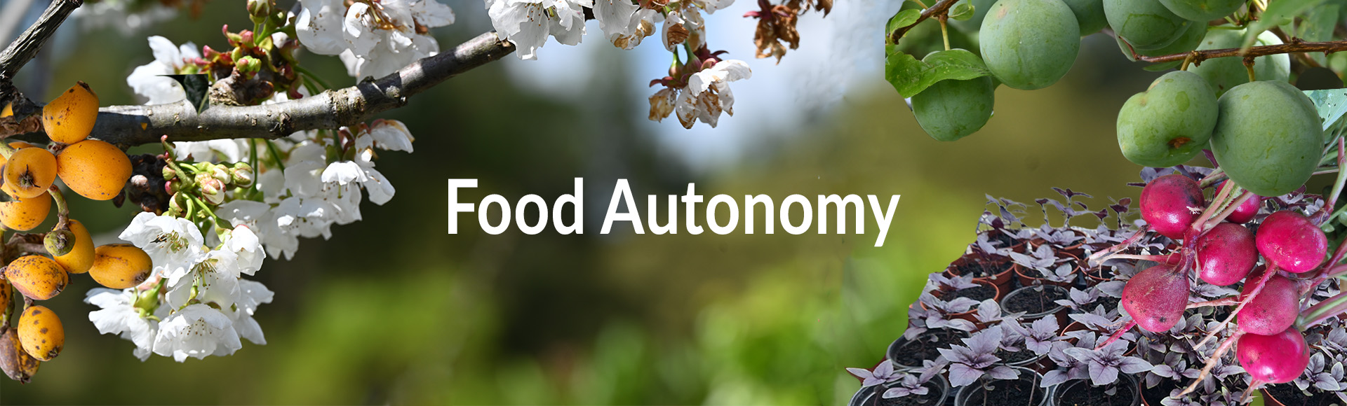Food Self-Sufficiency