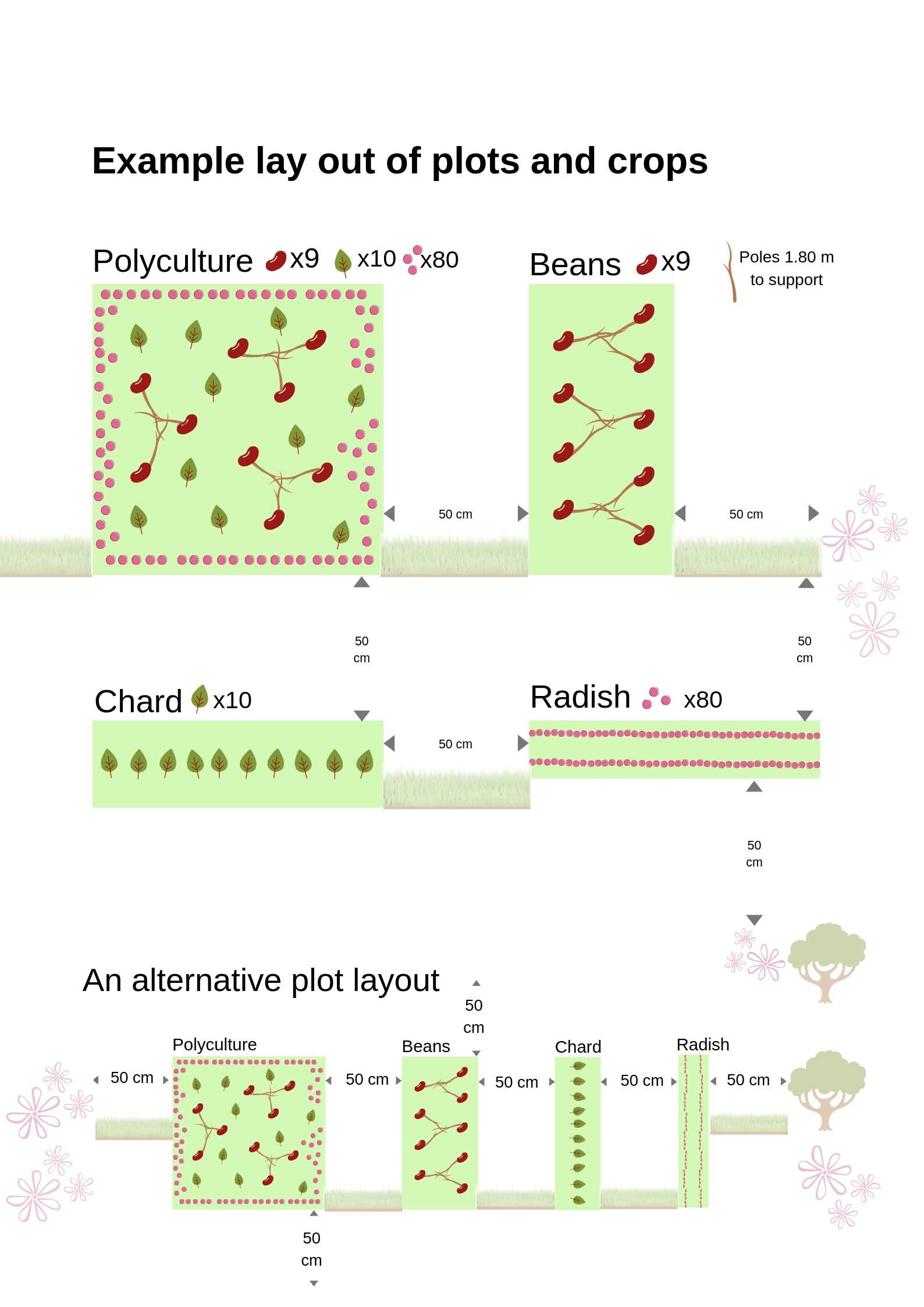 Diagram showing suggested layout of plots and crops