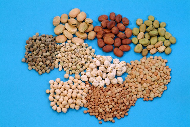 Seeds