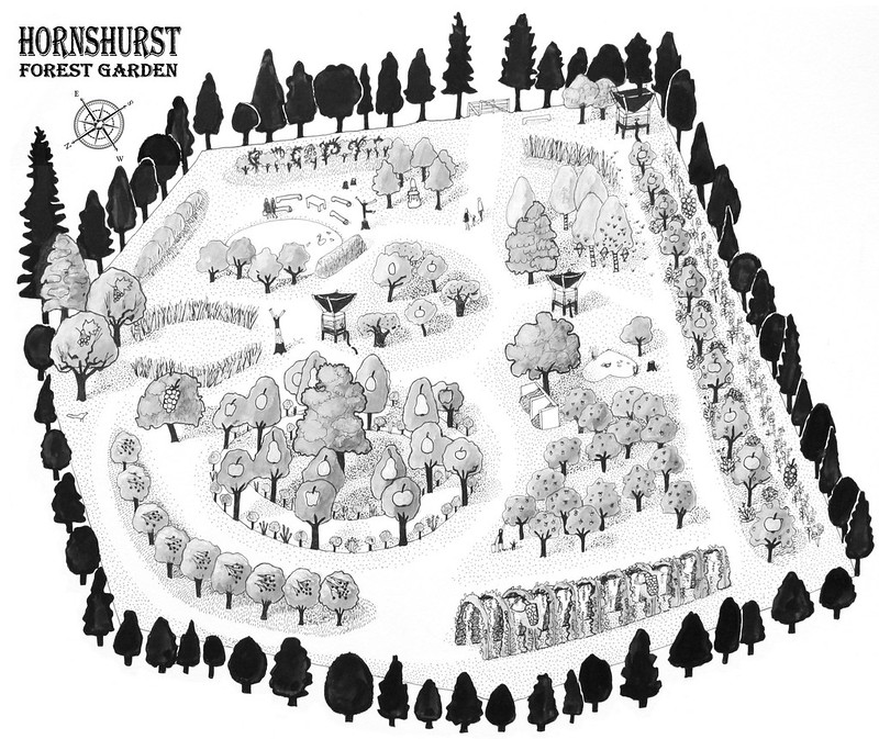 Hornhurst Forest Garden design