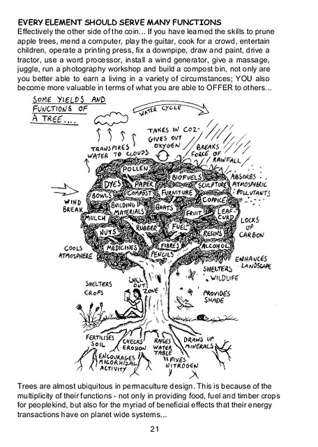 Sample page from Permaculture: A Beginners Guide