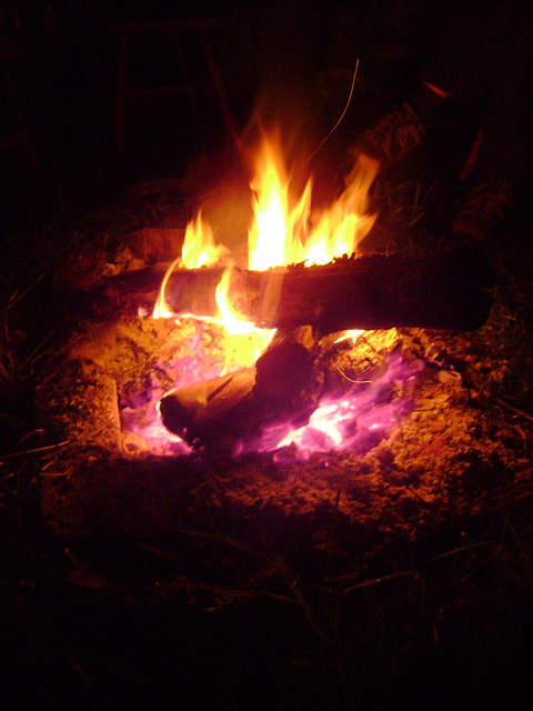 Photo: London Permaculture Flickr. Shared under CC BY-NC-SA 2.0