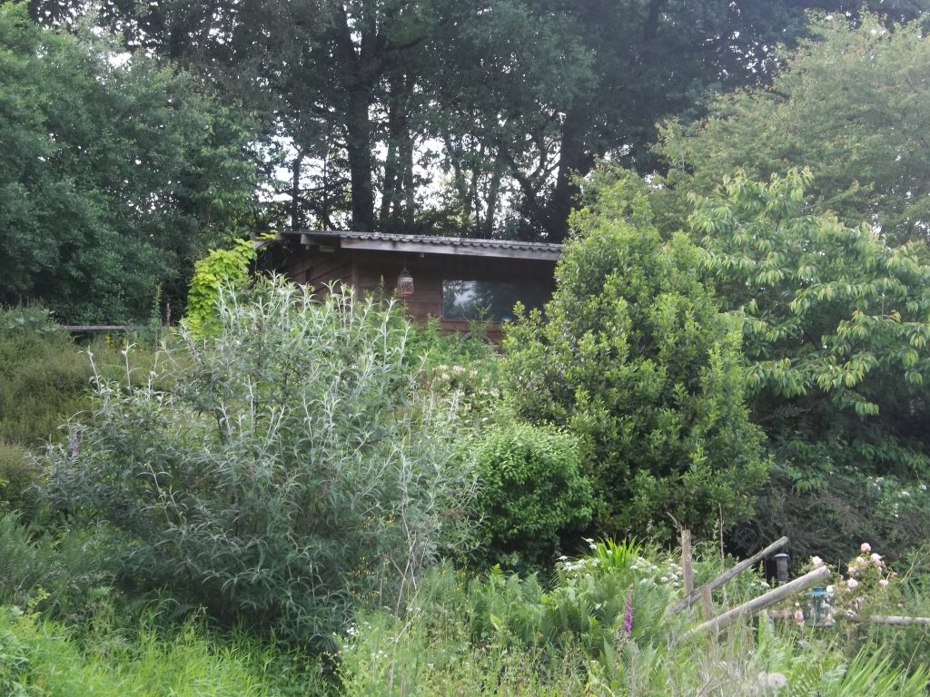 Applewood studio