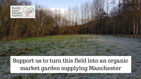 Support us to turn this field into an organic market garden supplying Manchester