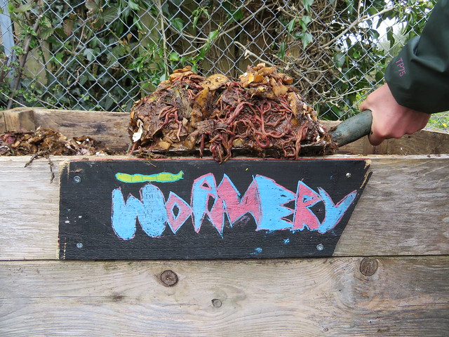 Wormery