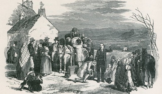 Irish potato famine