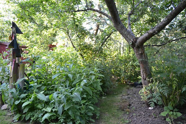 Graham Bell's forest garden