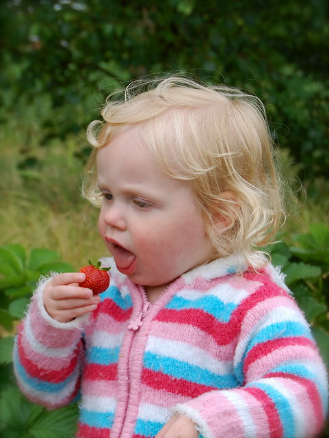 A little girl eating a strawberry Photo: imcountingufoz on Flickr CC BY 2.0
