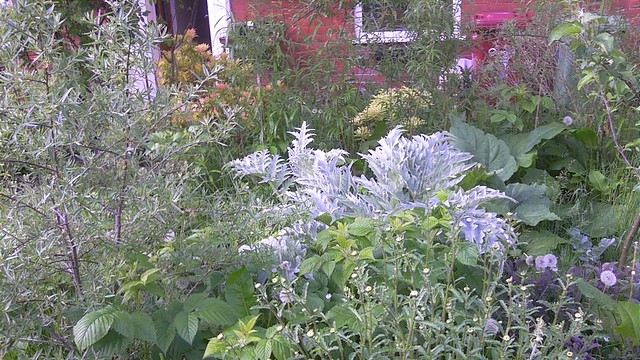 A view of the garden from the front