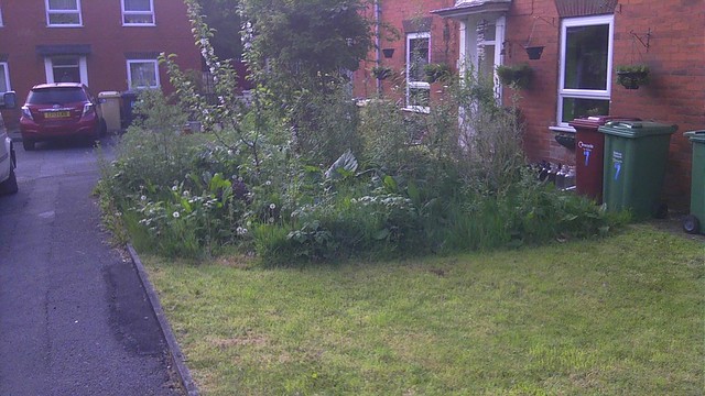 Front garden. Photo: Stephen Jones