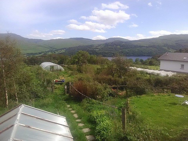 View of poly tunnel in the garden