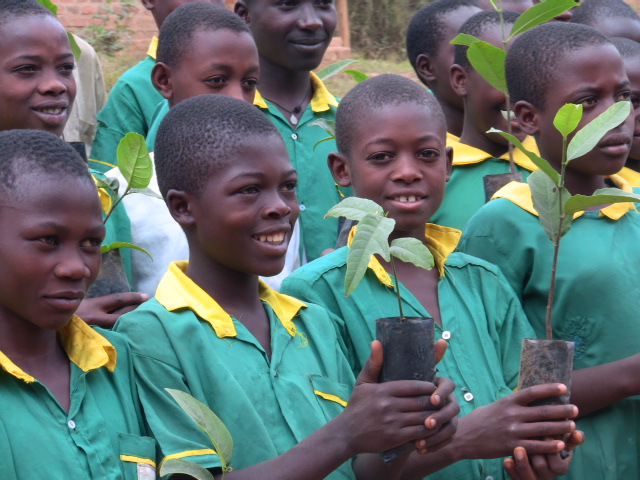 School chidren receive food trees School children receive food trees