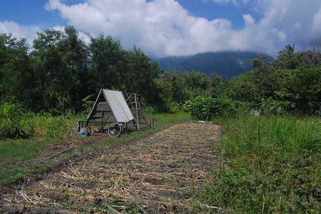 Earth Passengers chicken tractor