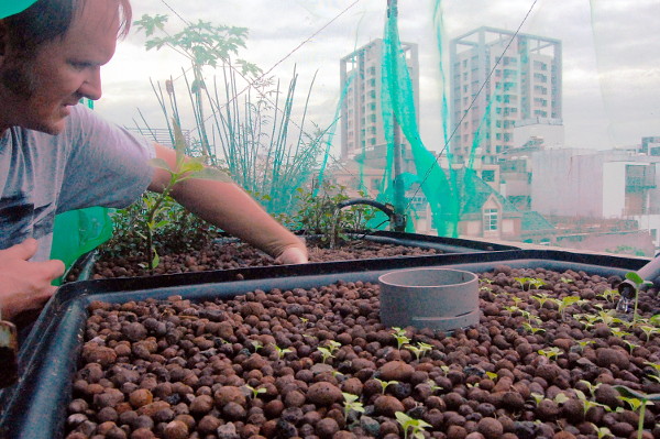 Clint's rooftop aquaponics system