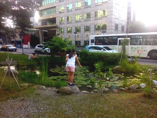 Wutong Foundation community garden