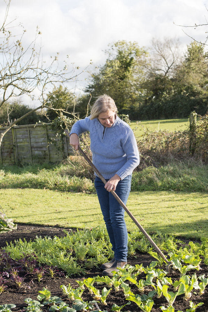 Steph hoeing in the allotment