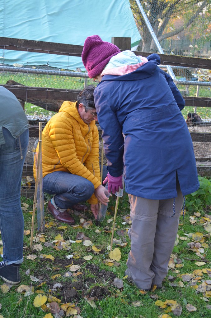 People tree planting
