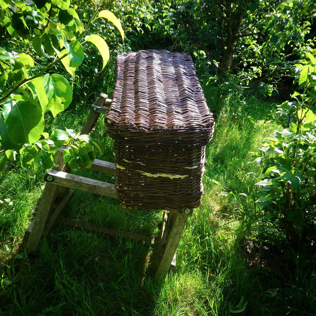 Coffin in a leafy garden