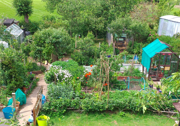 View of Station Road garden