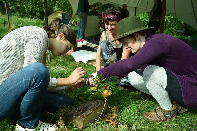 3 women gather round focused on a task. With log, bracken and apples in shot.