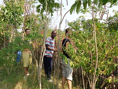 Kenya permaculture project