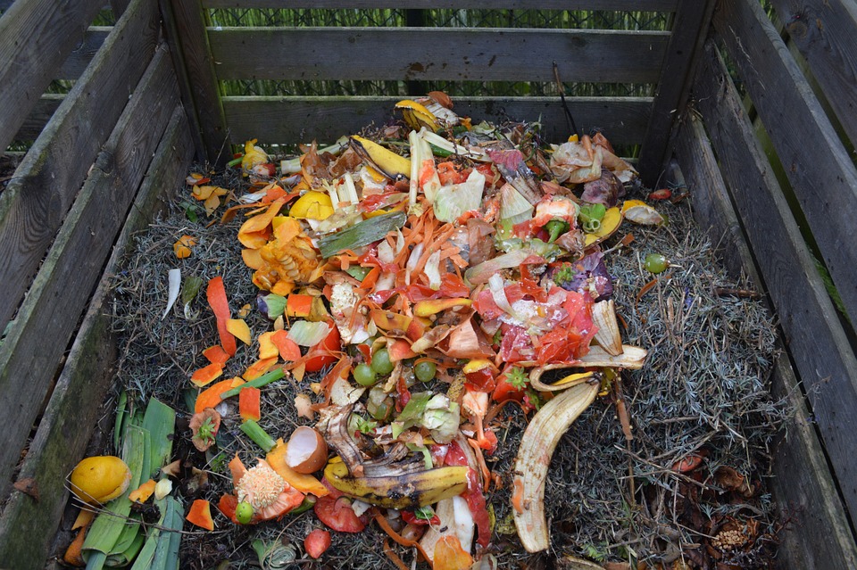 Food waste in a compost pile