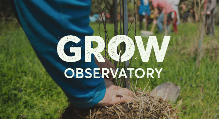GROW Observatory logo over people planting 