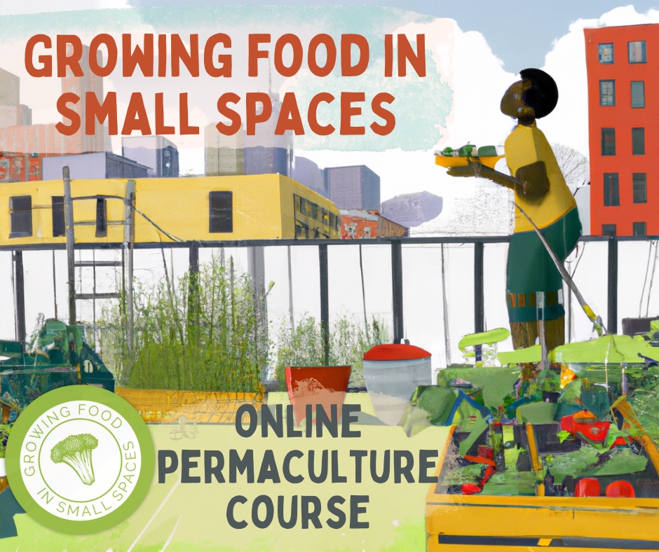 Growing Food in Small Spaces HEader