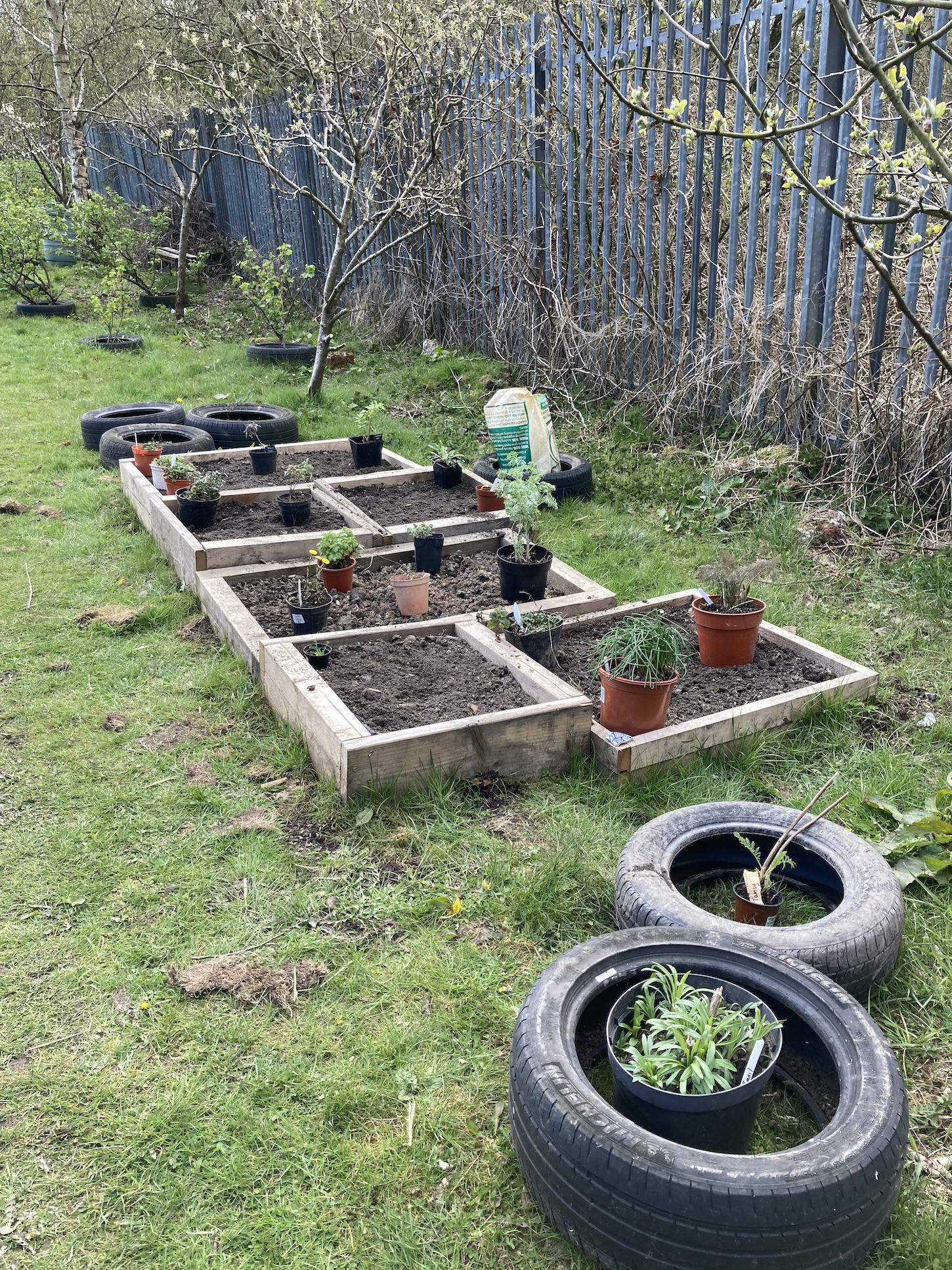 Herb garden