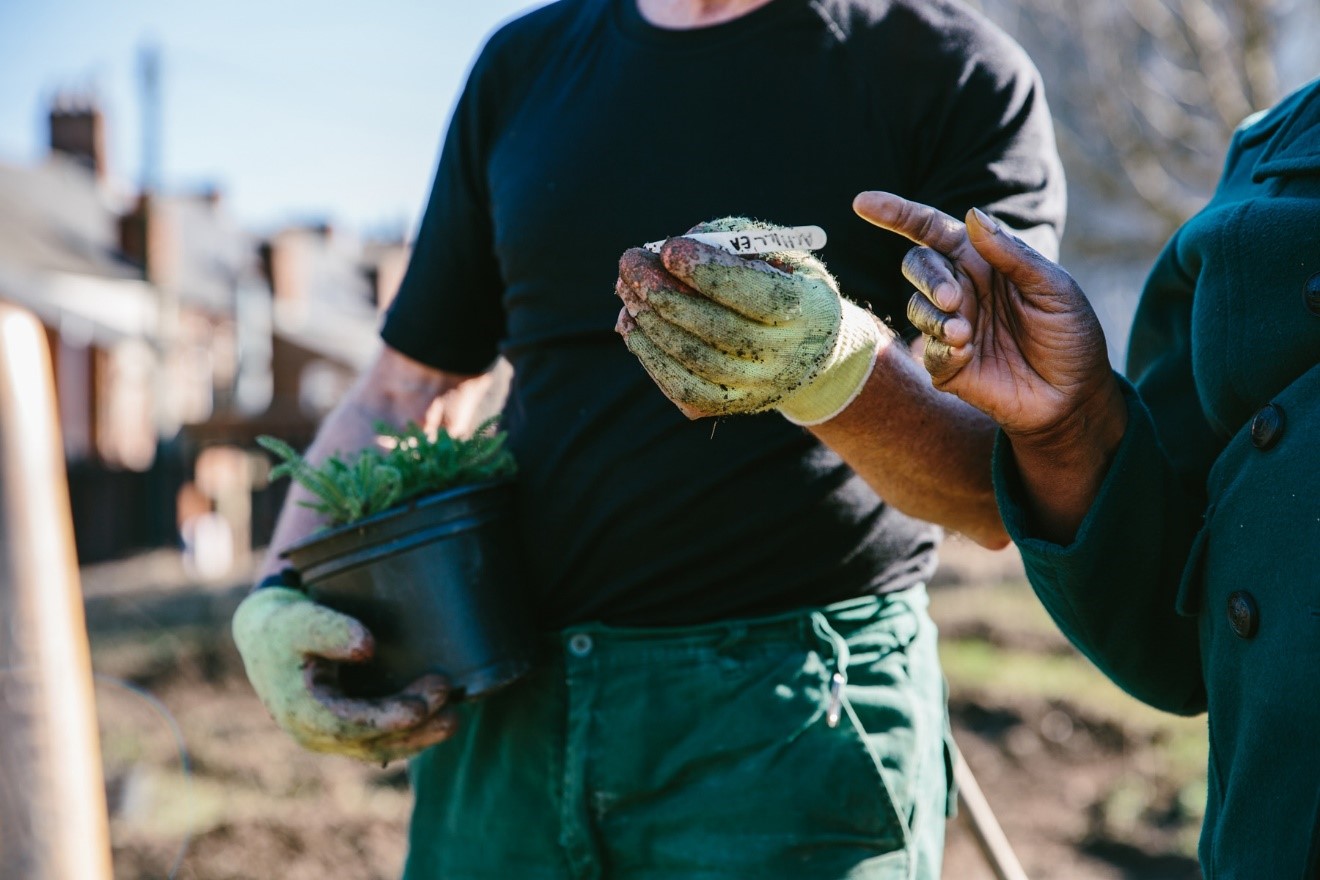 Gardeners planting salads at the Comfrey Project in Gateshead