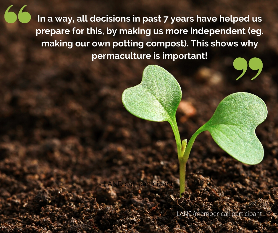Quote on a seedling background