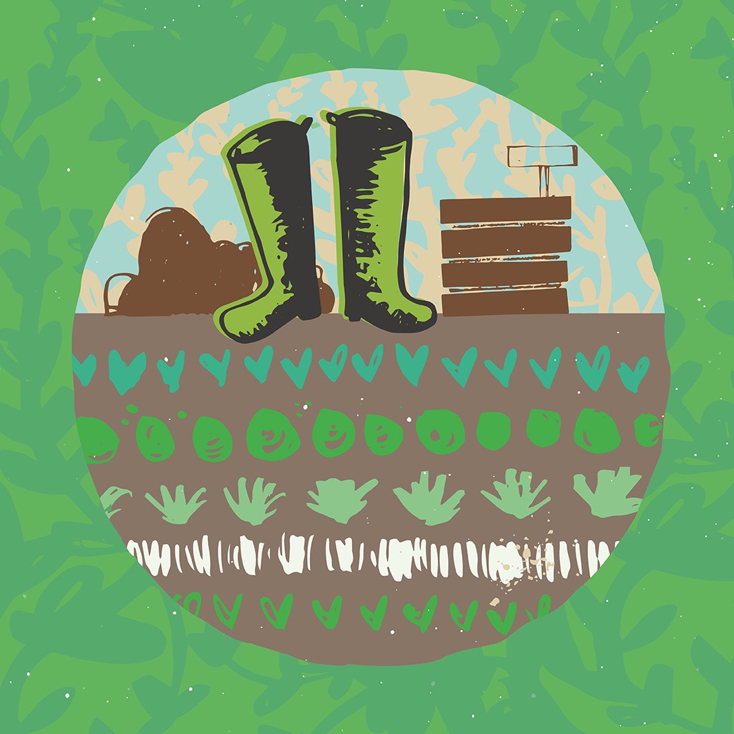 Drawing of vegetable garden, wellington boots and compost heap