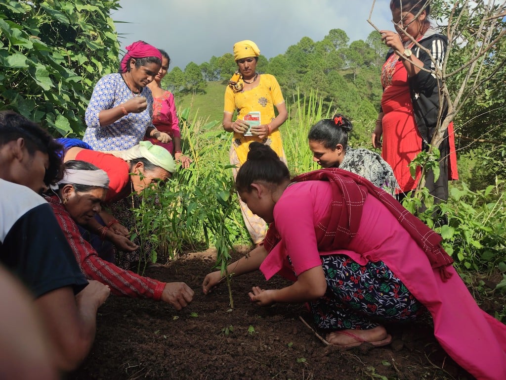 Group of women tree planting in Nepal