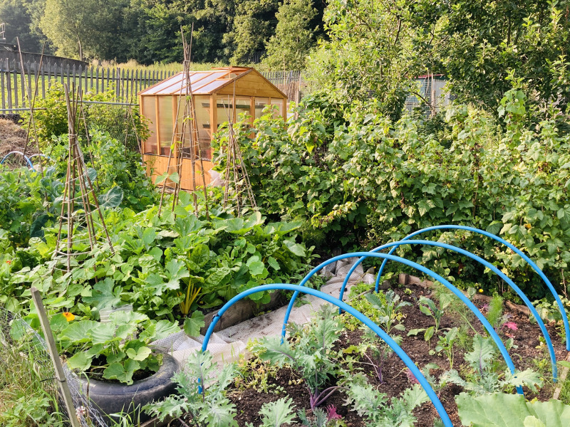 Permaculture allotment