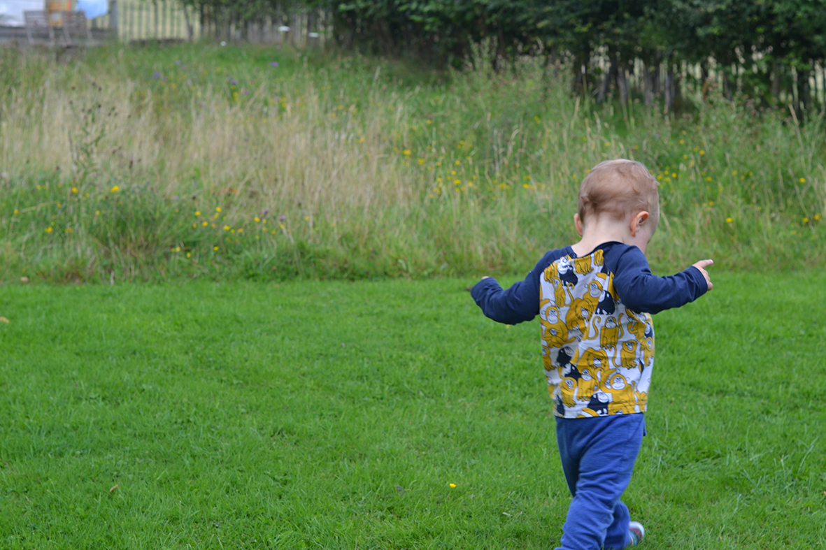 Young child playing at the edge of a meadow
