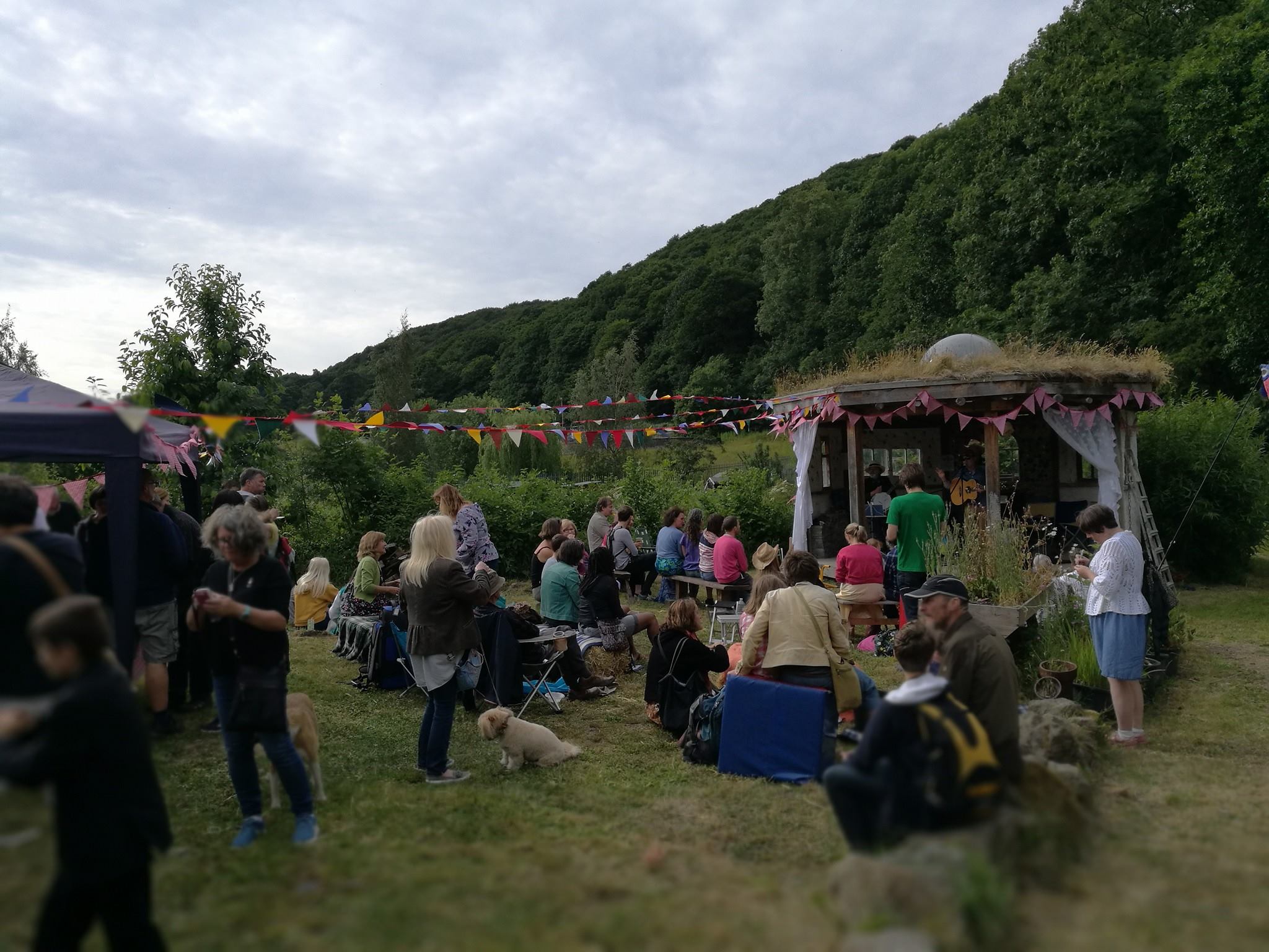Redace village green, 2018