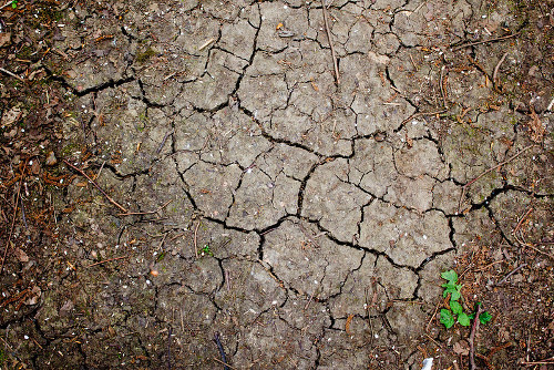 Dry, cracked soil. Photo: Ricky Thakrar shared under CC BY-NC-ND 2.0