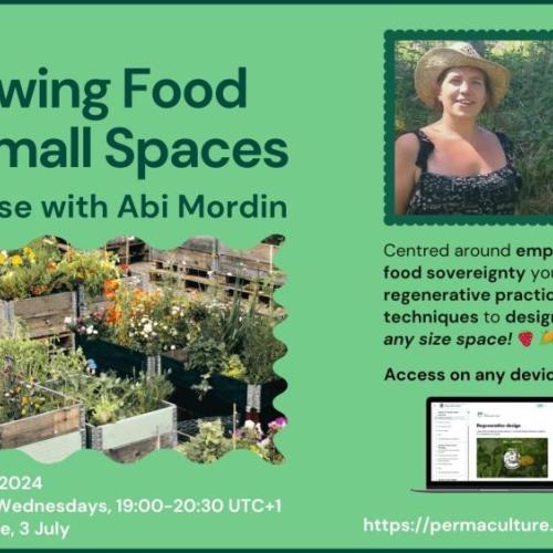 Growing Food in Small Spaces course flyer