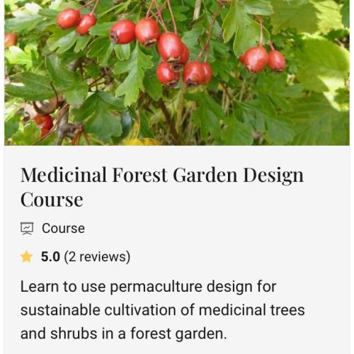 Medicinal Forest Garden Design Course